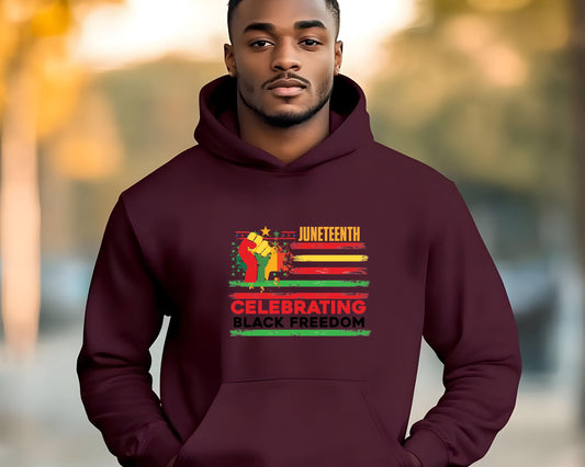 Juneteenth Celebrating Black Freedom Hoodie, Unisex Lightweight Hooded Sweatshirt, Black History Month Gift, African American Pride Apparel,