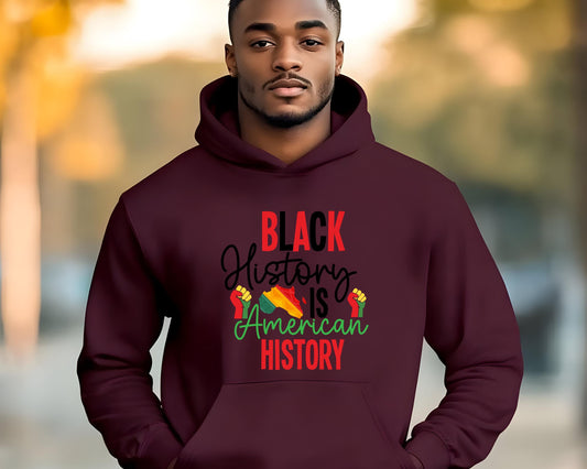 Black History Is American History Lightweight Hoodie, Unisex History Sweatshirt, African American Heritage Pullover, Civil Rights Movement